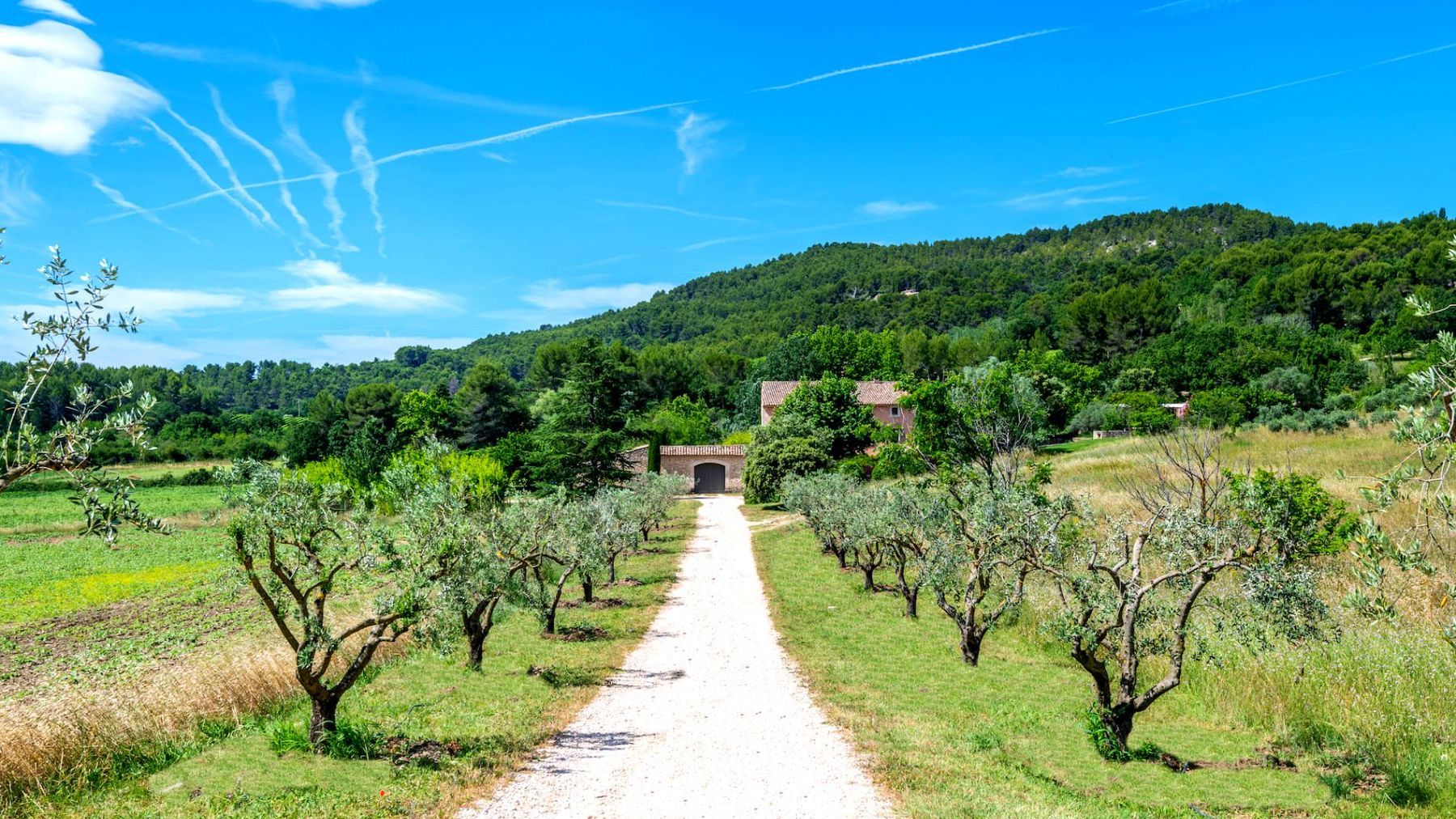 Bastide du Baron villa photo.